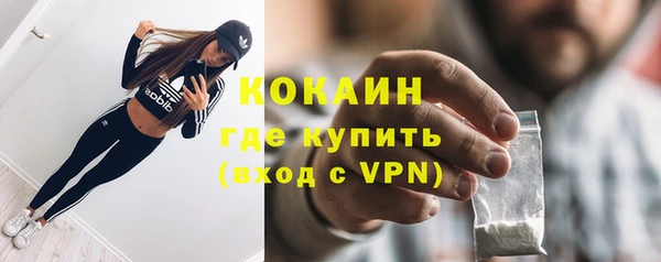 спайс Инта