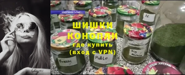 шишки Богданович