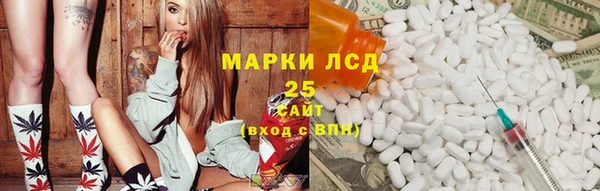 spice Гусев