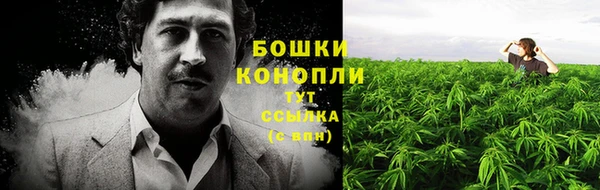 шишки Богданович